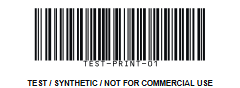 Raster version exposes its fixed pixel grid when enlarged beside the vector rendering of the same symbol.